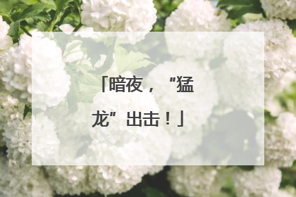 暗夜，“猛龙”出击！